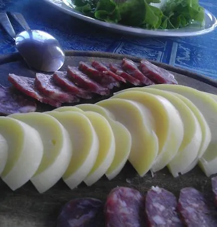 Corallo Noci